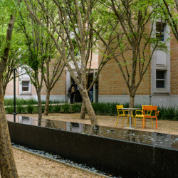 Chairs in an oudoor patio with tress on campus